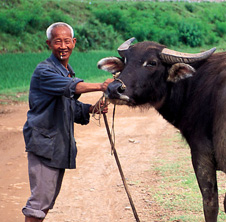 小型飼料顆粒機(jī),農(nóng)民圓夢！